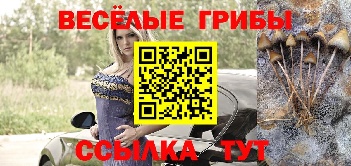 Галлюциногенные грибы GOLDEN TEACHER Тайшет